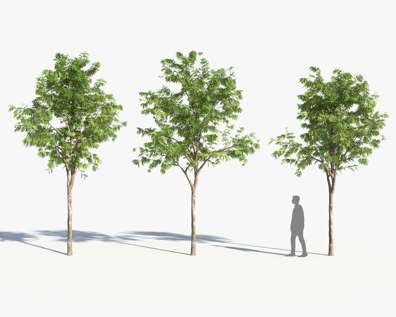 landscape 3D model https://p.turbosquid.com/ts-thumb/4v/HYc1rd/vcqa7t26/autoland_37/jpg/1575151151/1920x1080/fit_q87/37aadb4d38ff60a6893cef450b847945e6411e81/autoland_37.jpg