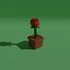 rose
