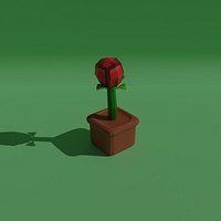 rose
