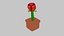 rose