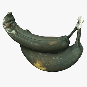 3D Bananas 02 Rotten