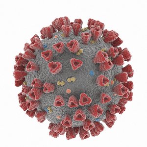 Coronavirus 2019-nCoV SARS-CoV-2 Covid-19