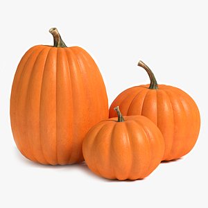 pumpkins 3d max