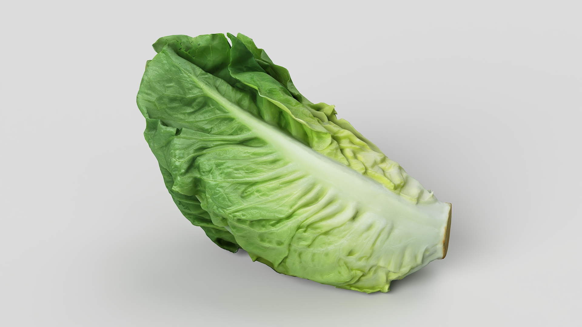 Salad Head 13 model TurboSquid 2155227