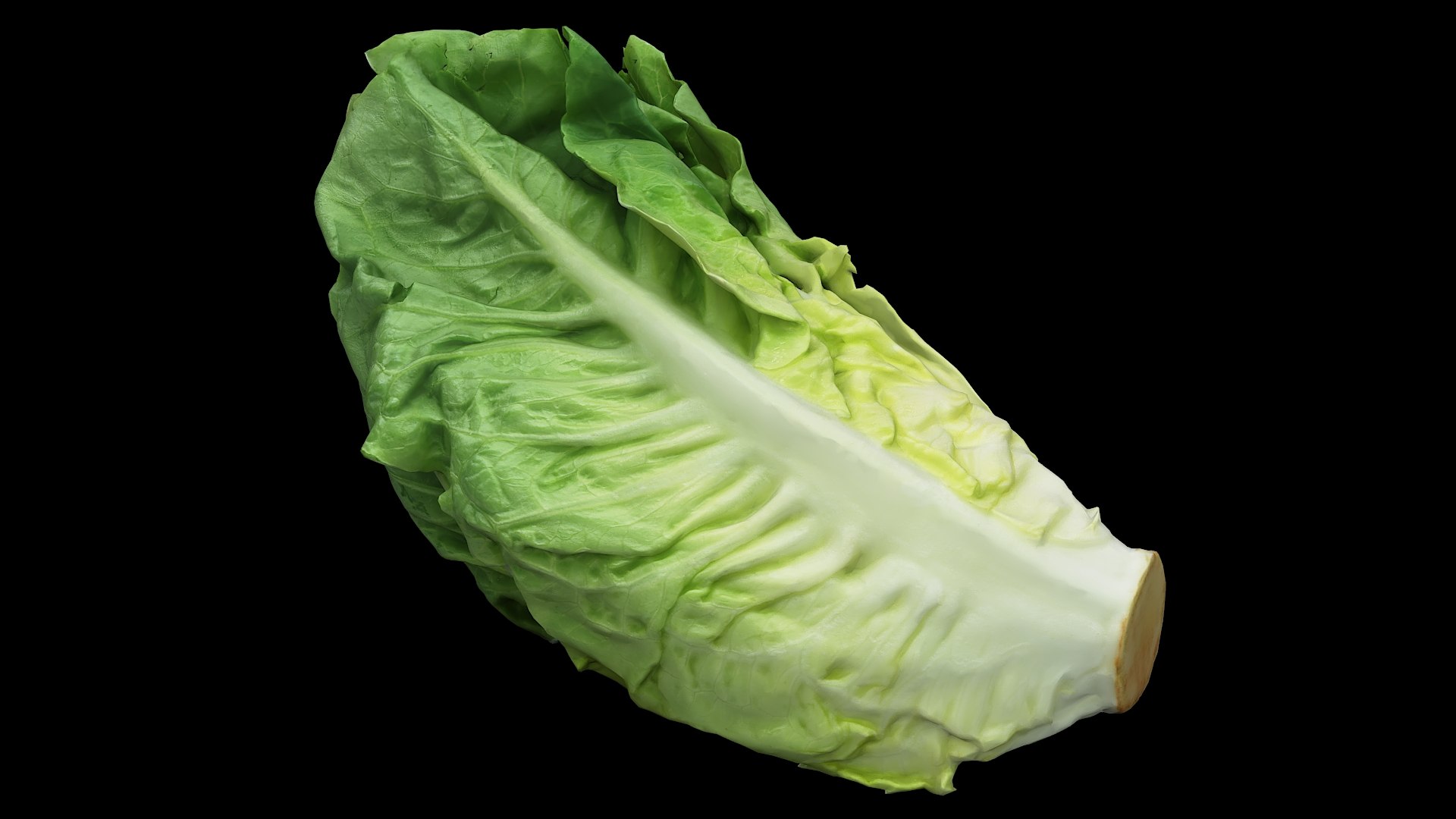 Salad Head 13 model TurboSquid 2155227