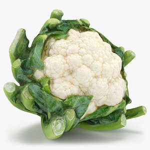 3D Cauliflower model