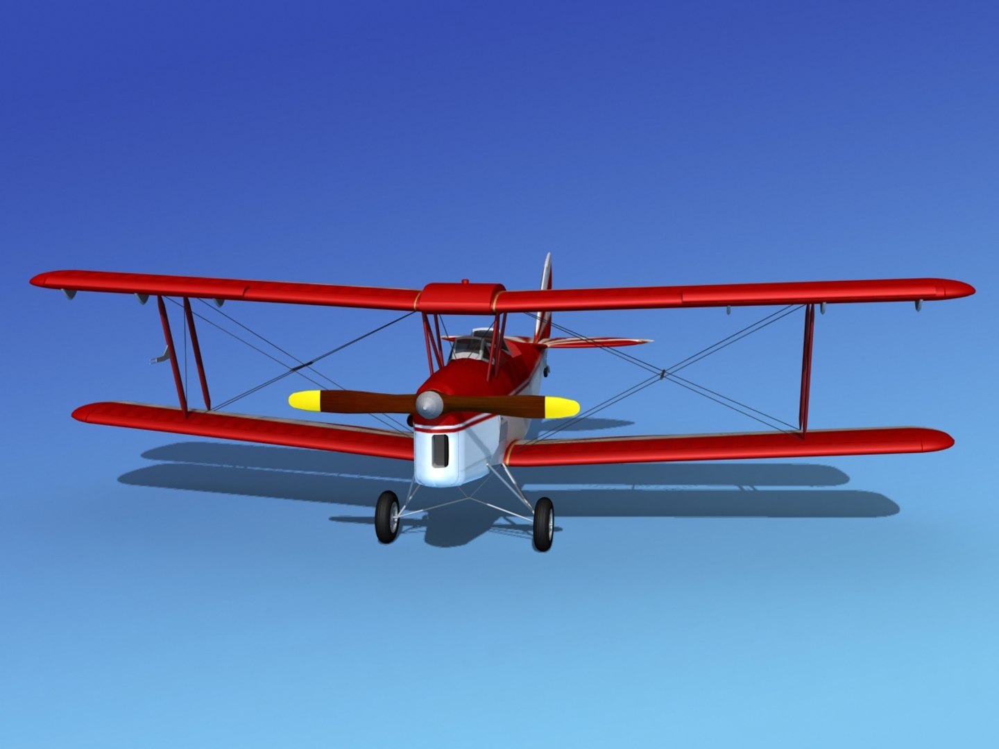 3d Tiger Moth