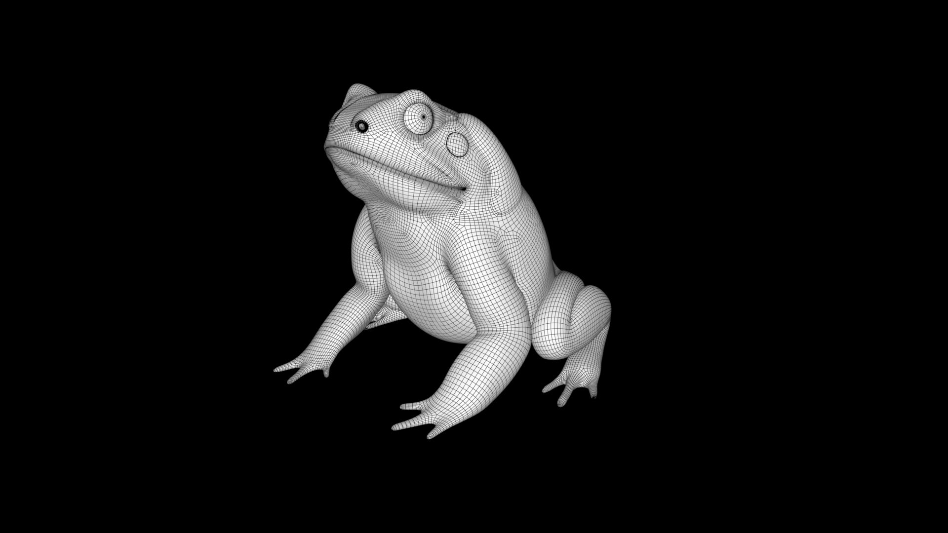 Toad 3D Model Model - TurboSquid 2066207
