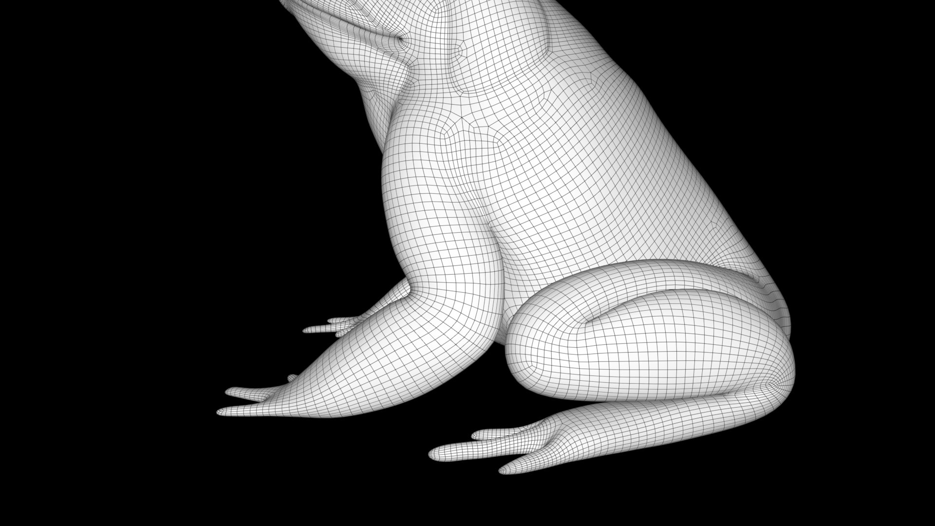 Toad 3D Model Model - TurboSquid 2066207