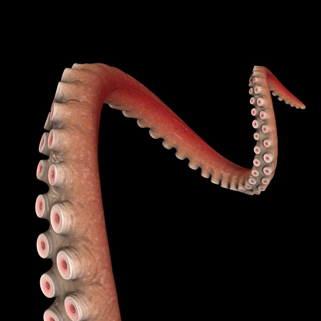 octopus tentacle 2 ma