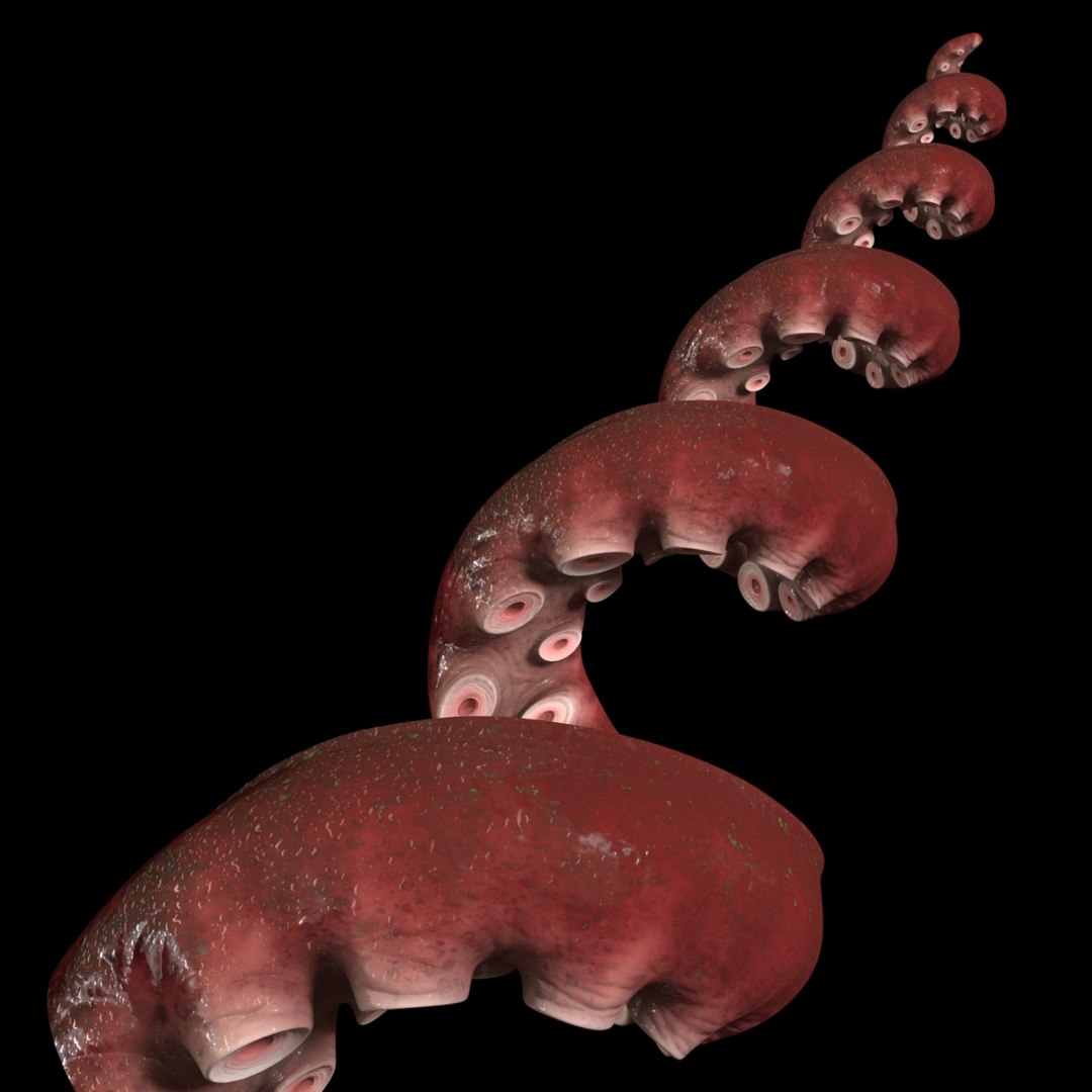 octopus tentacle 2 ma