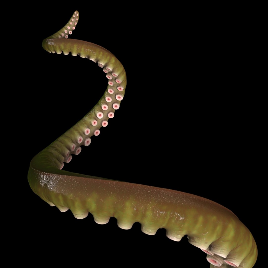 octopus tentacle 2 ma