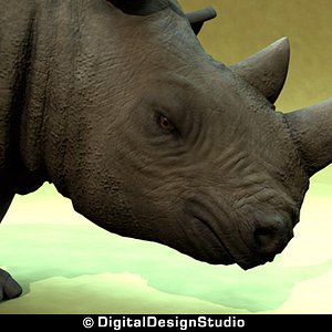 3d model rhinoceros