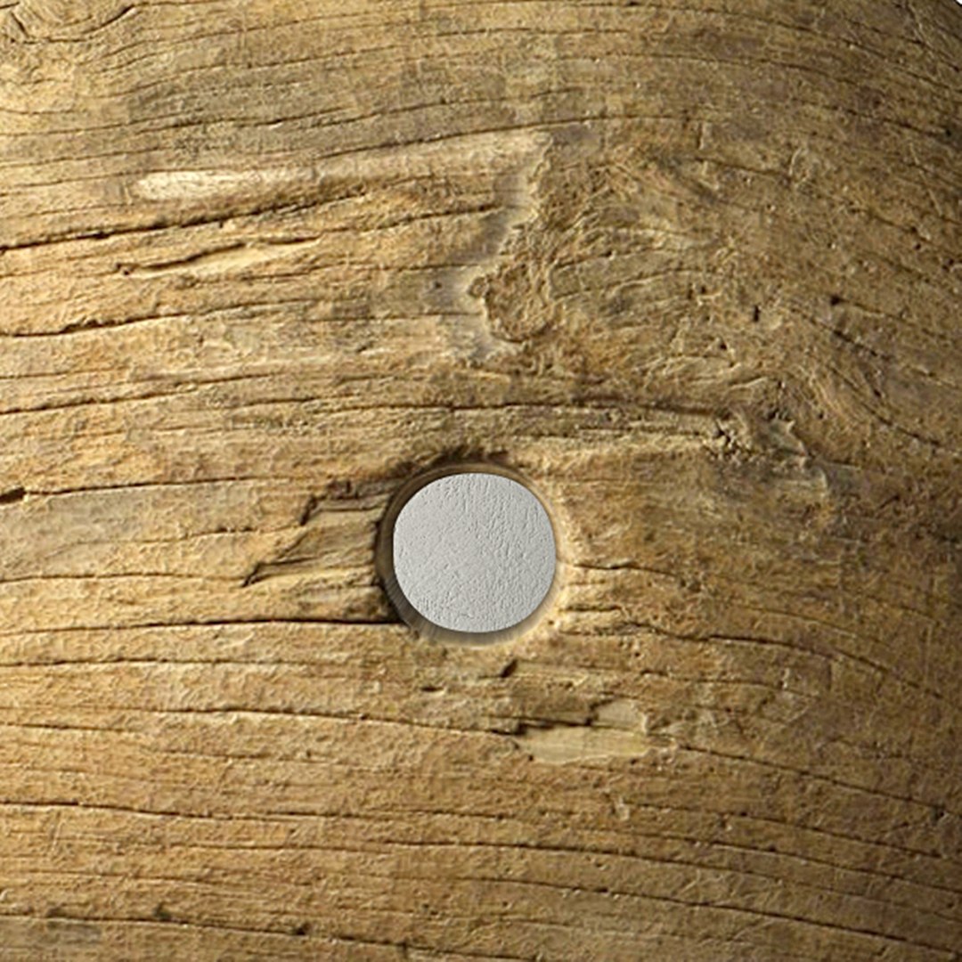 3D teak wheel model https://p.turbosquid.com/ts-thumb/4w/Bur4fK/Z54sq7Yi/teakwheelpreview2/jpg/1505569346/1920x1080/fit_q87/9120c38ac9ebfdccede7c69483242ef4136ebf03/teakwheelpreview2.jpg
