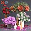 Collection of Peonies Bouquet in Vases