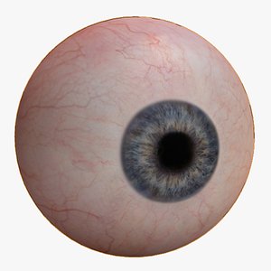 Human Eyes Game Ready for Unreal Ungine or Unity Low-poly model