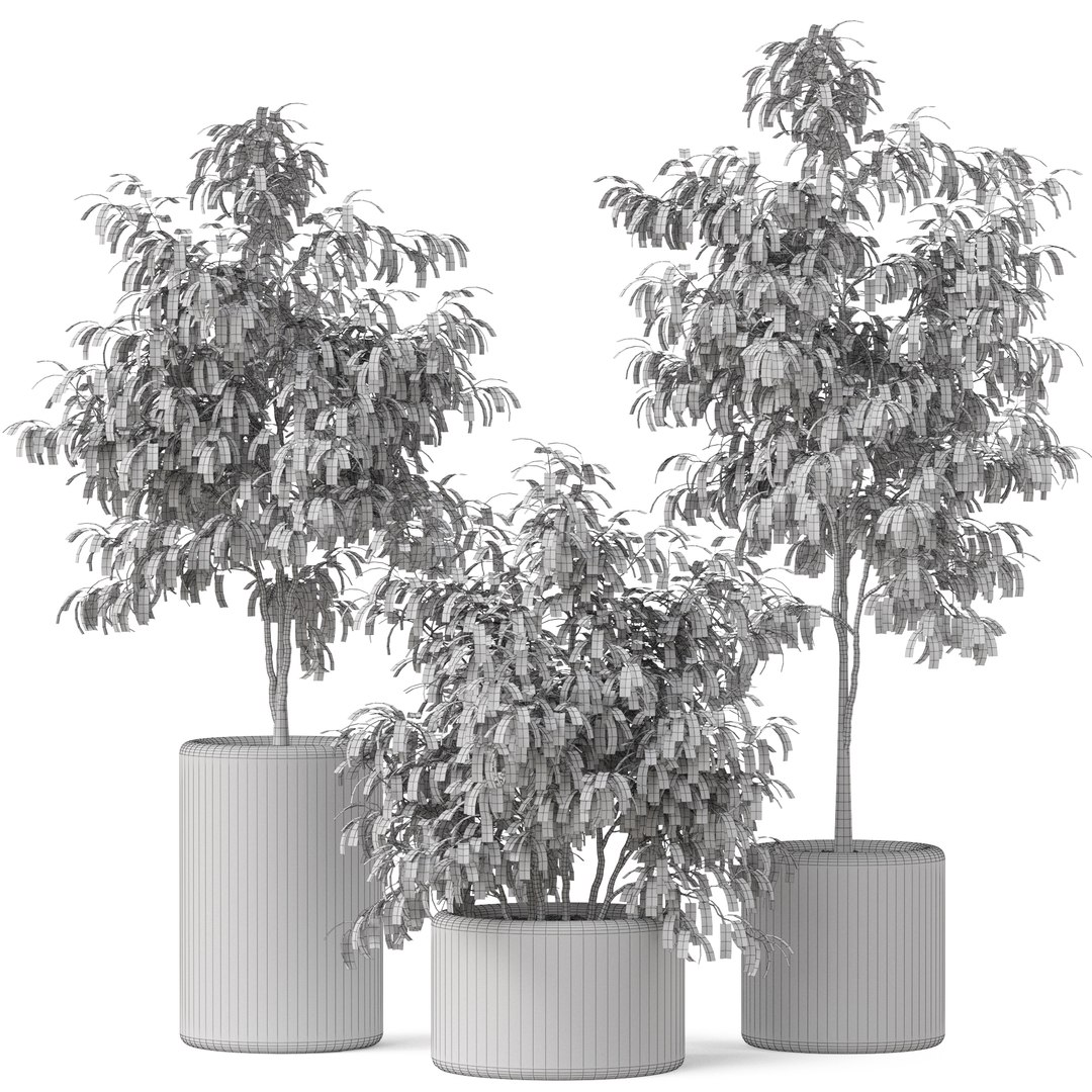 Plants collection 903 3D model https://p.turbosquid.com/ts-thumb/4w/bNP7fX/4l/plant_903_04/jpg/1677234909/1920x1080/fit_q87/a58ea4f593c9e2b76b7abed7b616851e8d776f16/plant_903_04.jpg