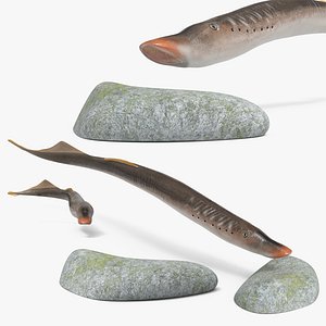 Lamprey Fish Attach and Feed Animated Rigged For Maya