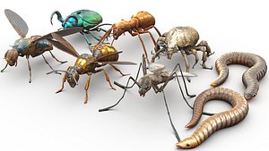 3D Insects pack