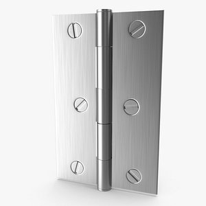 Steel Hinge With Screwhead