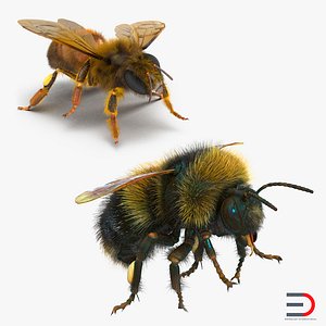 3d bee bumblebee
