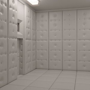 Padded Cell Interior