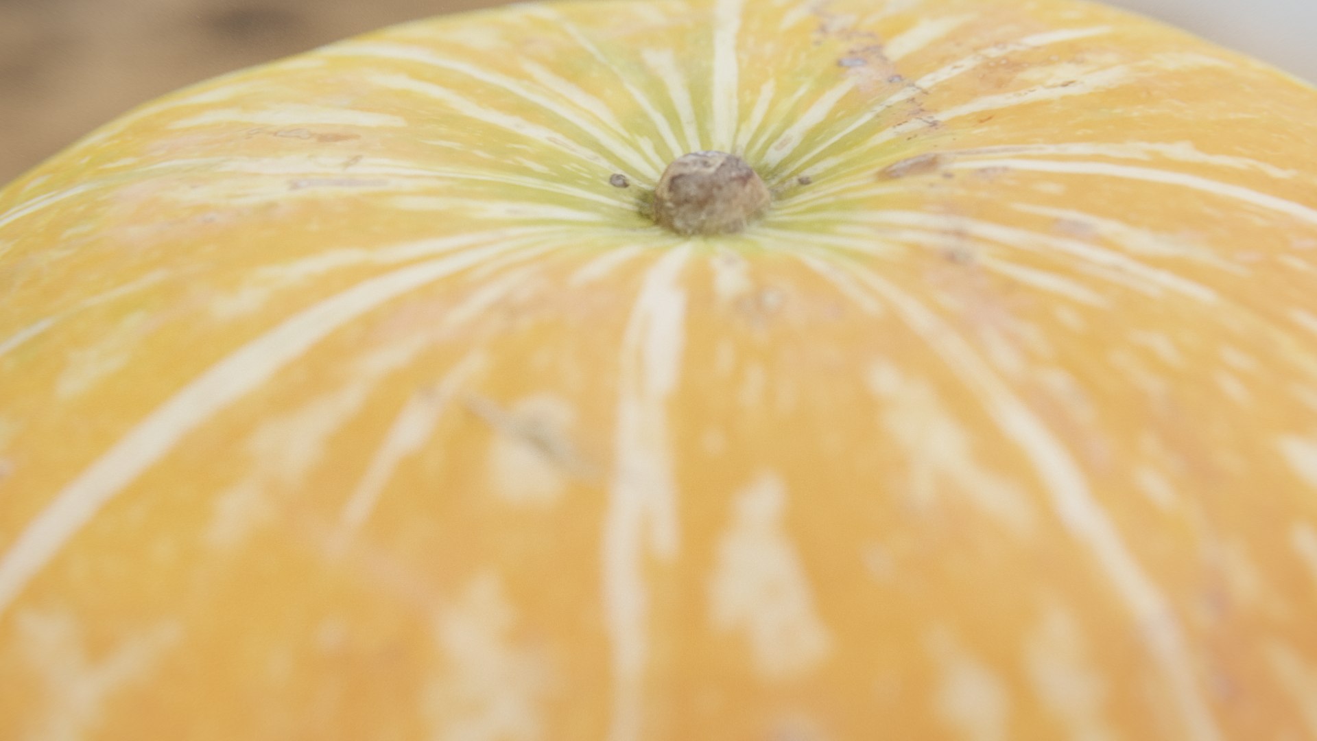 Pumpkin 3D model https://p.turbosquid.com/ts-thumb/4w/mlWjUy/Iu/u3/png/1653317132/1920x1080/fit_q87/5ba763c0baa1f19a546063ae9433ec84a19351df/u3.jpg