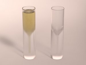 DESIGN---Glass Champagne