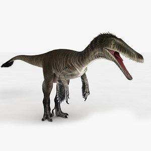 3D raptor model