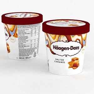 3D Ice Cream Haagen Dazs Salted Caramel 400g 2022 model