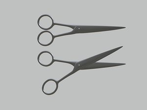 grey scissors model
