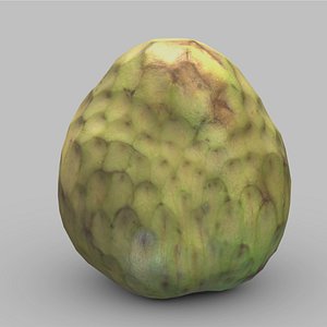 Cherimoya Low Poly model