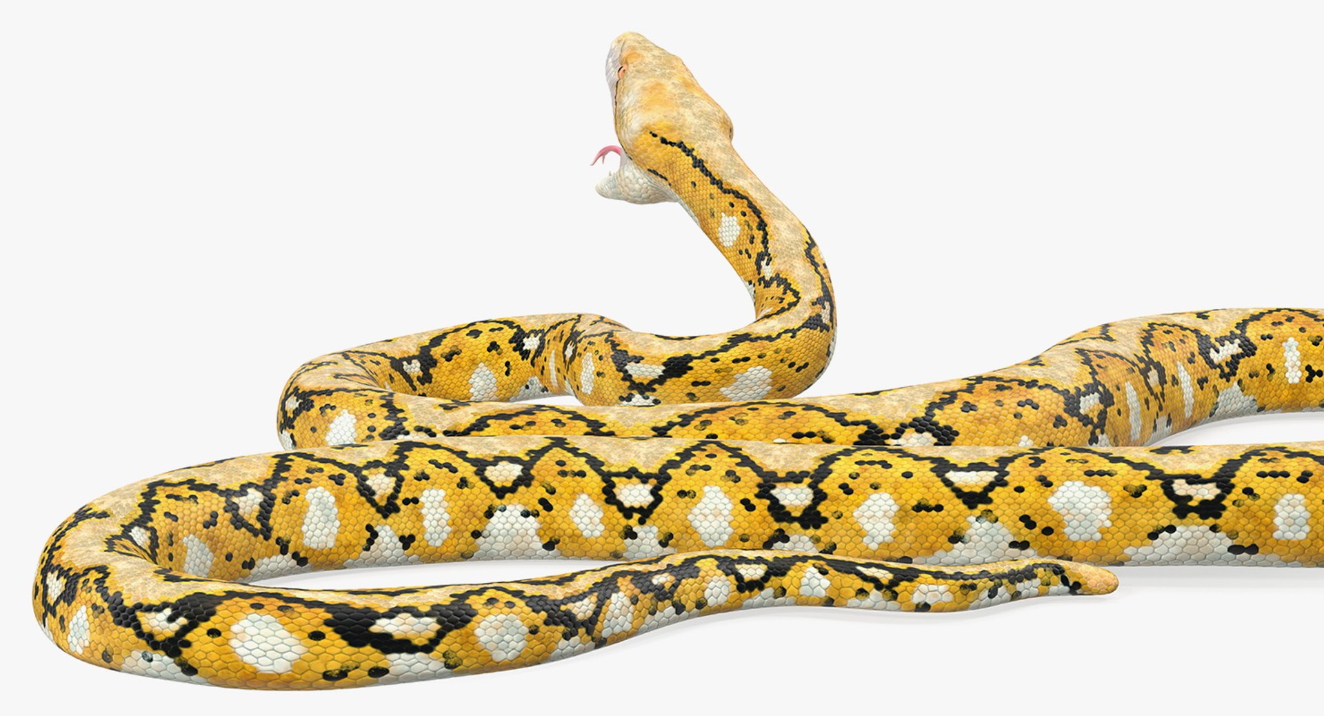 Yellow Python Snake Rigged 3D - TurboSquid 1436338