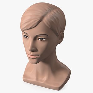 Plastic Female Mannequin Head with Hair