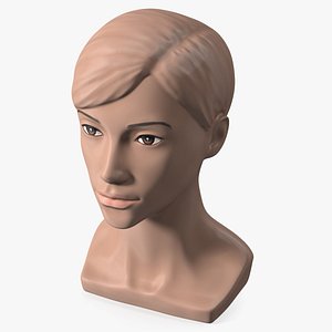 Plastic Female Mannequin Head with Hair
