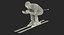 Slide Down Skier Generic