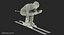Slide Down Skier Generic
