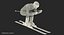 Slide Down Skier Generic