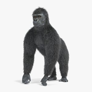 Gorilla (Rigged)