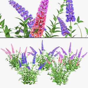 3D Blue Cambridge Bush model