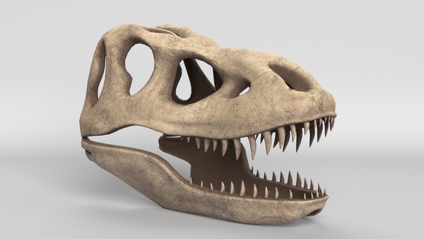 Caveira do Tiranossauro Rex, Objetos 3D - Envato Elements