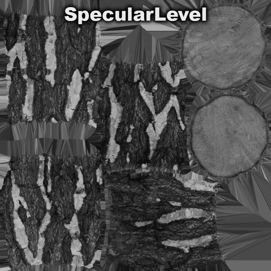 3D Birch Log Model - TurboSquid 1971491