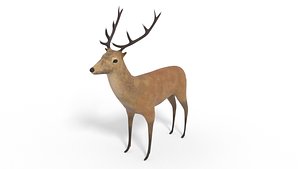 deer animal mammal 3D