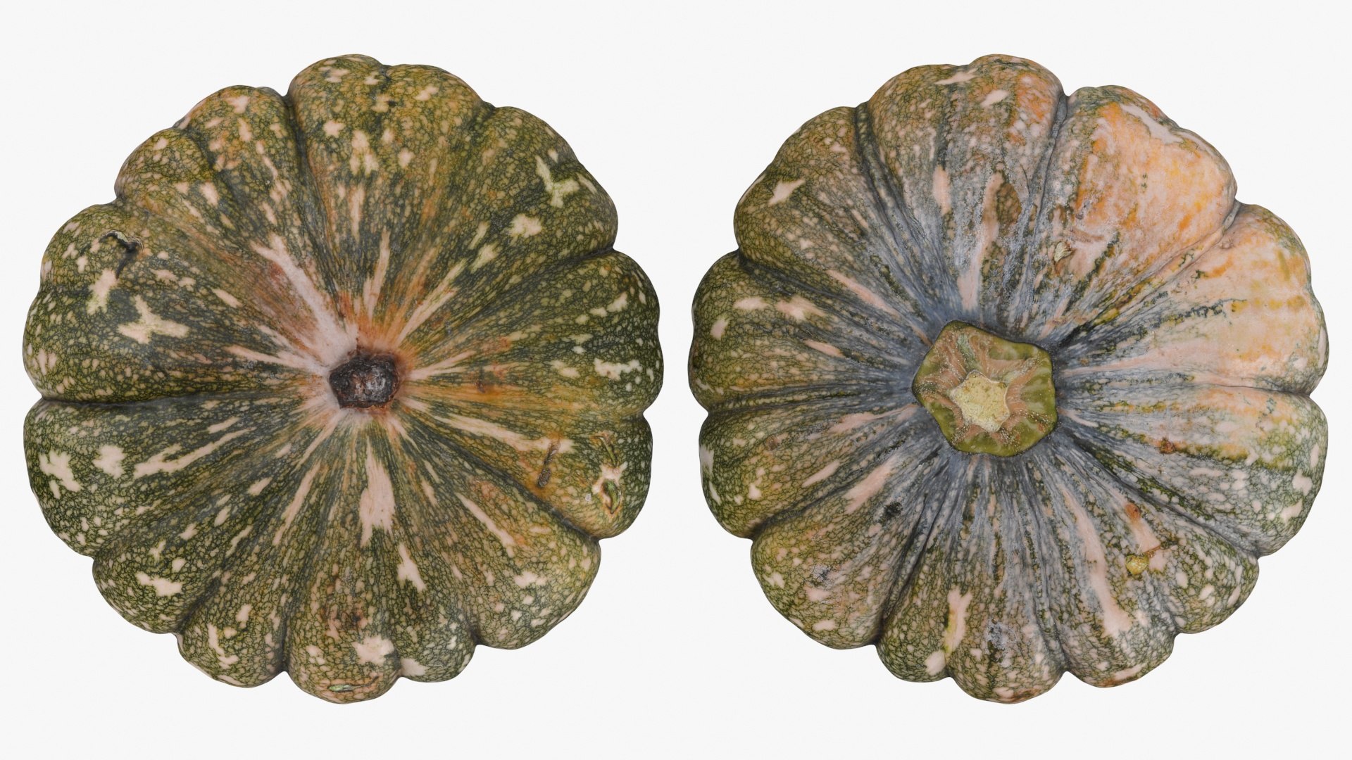 3D Asian Pumpkin Collection https://p.turbosquid.com/ts-thumb/4y/Drns8m/6q/asipumpkin_a0002/jpg/1716982705/1920x1080/fit_q87/69a8e3549f5722e524b1027b671fd71479c5d092/asipumpkin_a0002.jpg