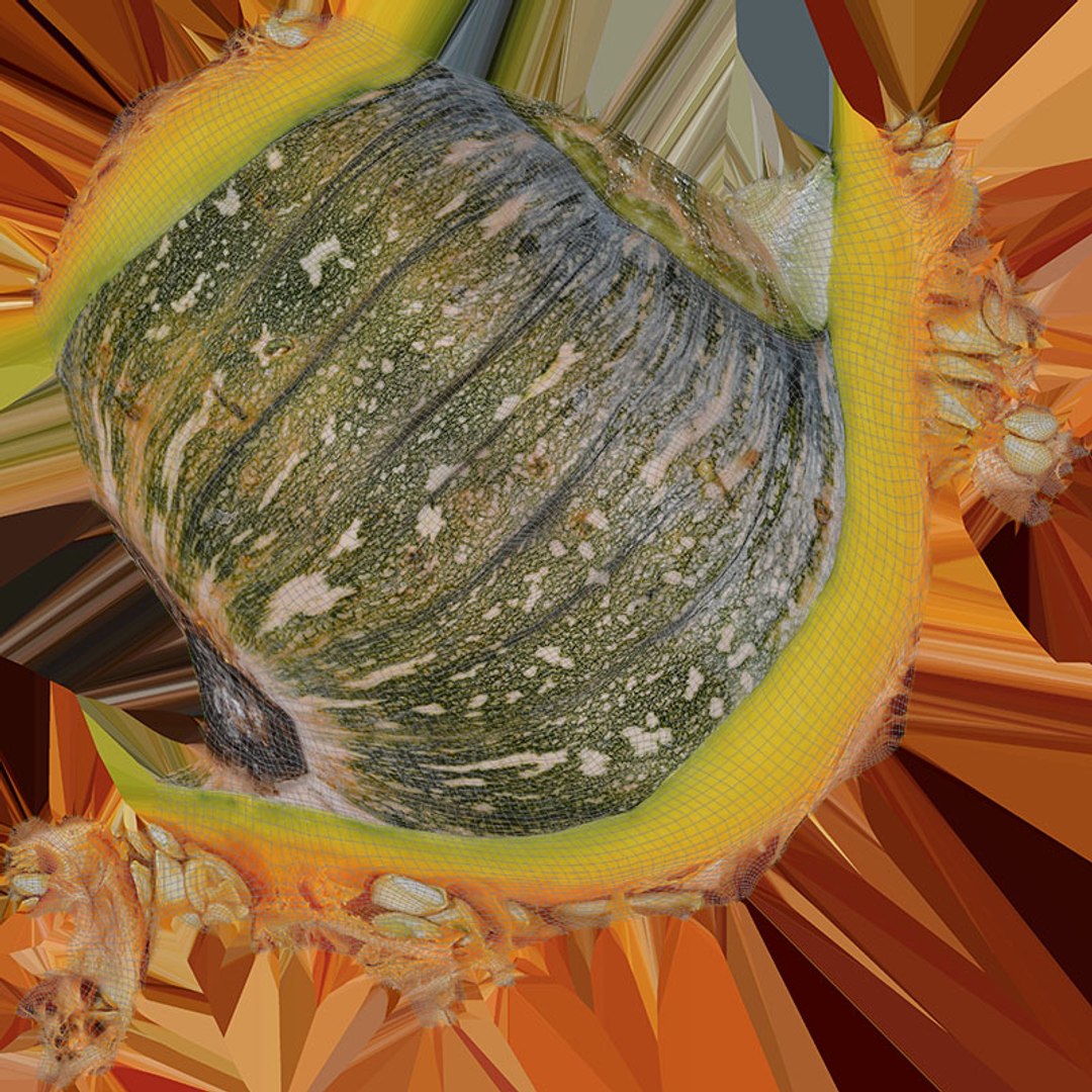 3D Asian Pumpkin Collection https://p.turbosquid.com/ts-thumb/4y/Drns8m/NX/asipumpkinhalf_d0004/jpg/1712220081/1920x1080/fit_q87/4a19e21d874bc15838fee5998d6c74172bf6b916/asipumpkinhalf_d0004.jpg