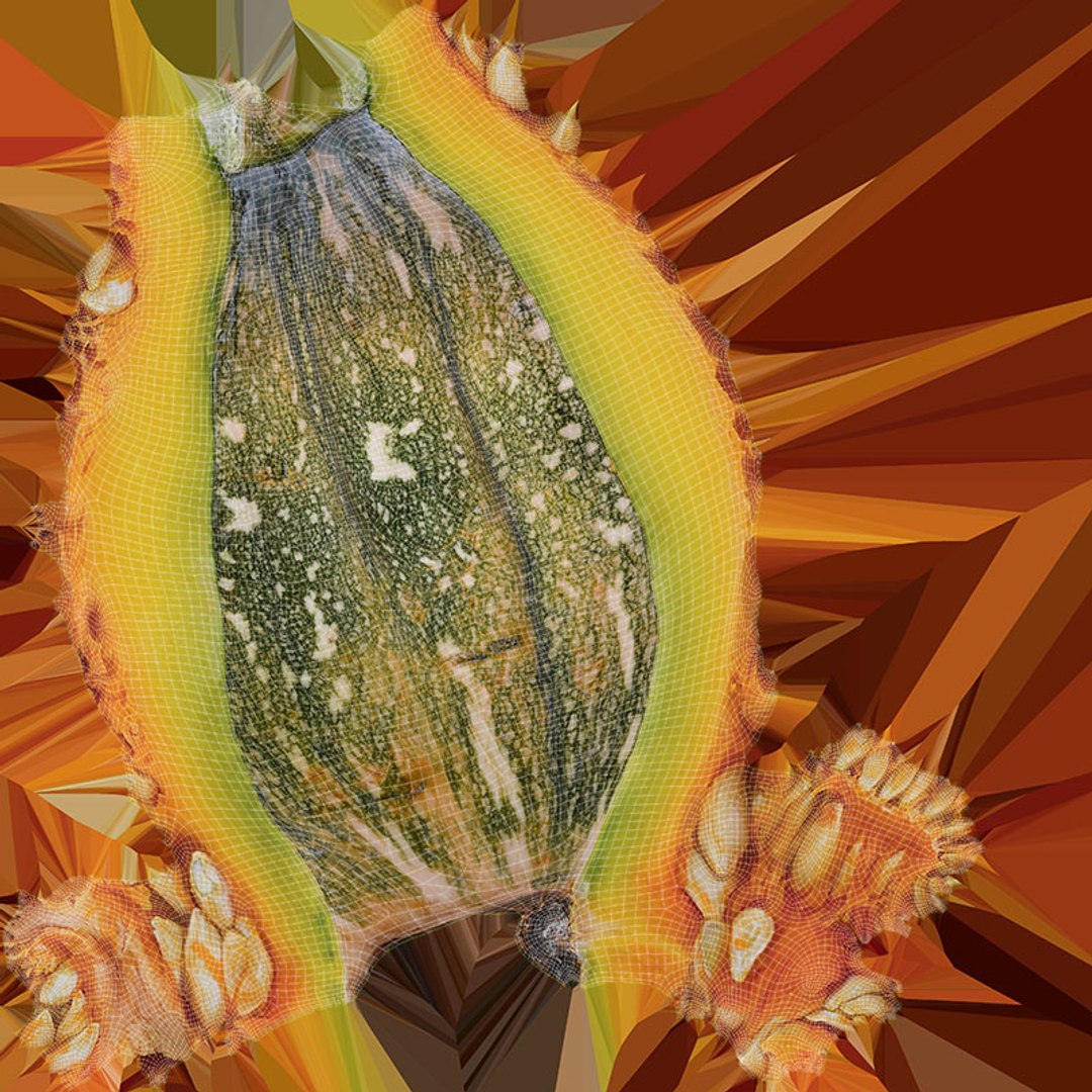 3D Asian Pumpkin Collection https://p.turbosquid.com/ts-thumb/4y/Drns8m/SK/asipumpkinslice_d0004/jpg/1716054976/1920x1080/fit_q87/3248b4bffd301d59cfcf8976575f74b83e3b3f3a/asipumpkinslice_d0004.jpg