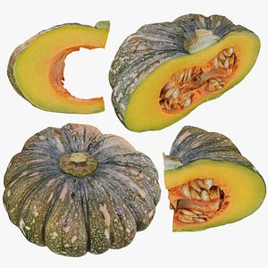 3D Asian Pumpkin Collection