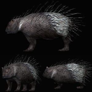 Fully Rigged Low Polygon Porcupine model