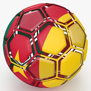 Soccerball dissasembled Cameroon