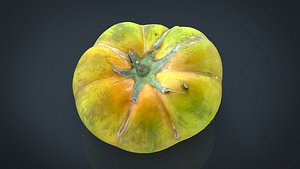 TOMATO 1